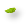 shape